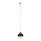 Hello Honey® Robert Stevenson Lighting Cameron Two-Tone Metal & Frosted Glass Ceiling Light
